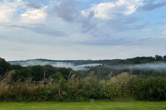 Aussicht Nebel