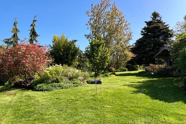 Gartenausschnitt I