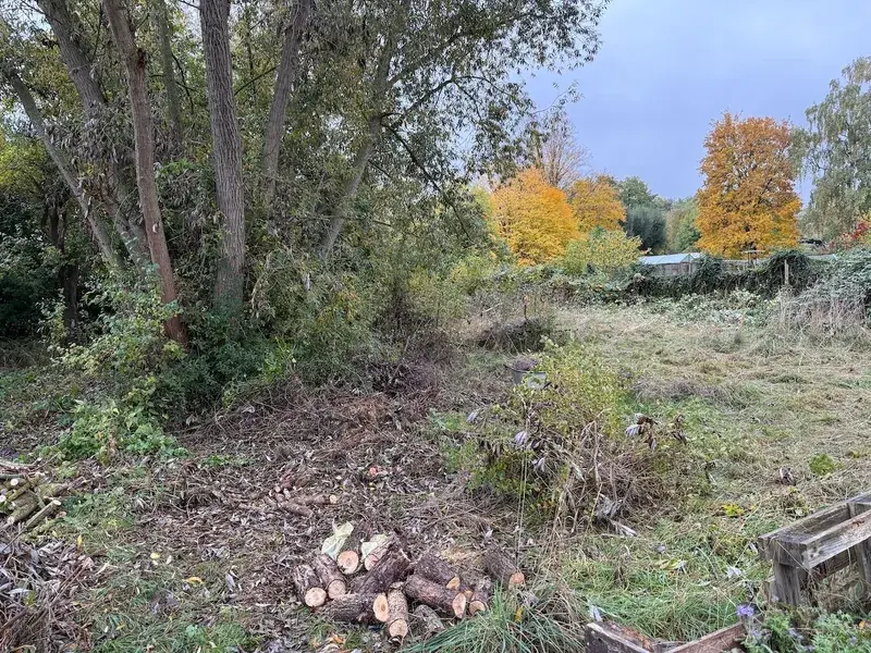 Grundstück