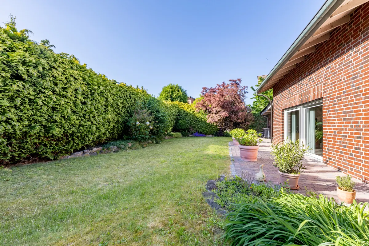 Blick in den Garten
