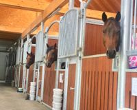 CD106E1F-7236-4181-B3D2-DEFC37680B0E