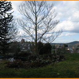 „Sie sind Single – dann haben wir die richtige Wohnung für Sie“