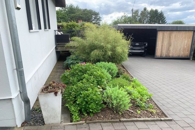 Seitenansicht