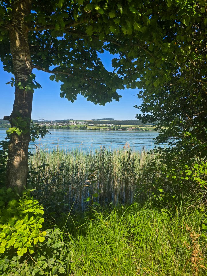 Seeparzelle am Hallwilersee - Impression