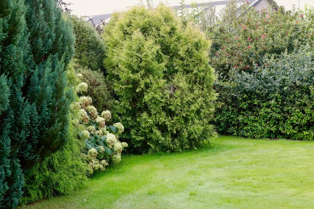 Garten