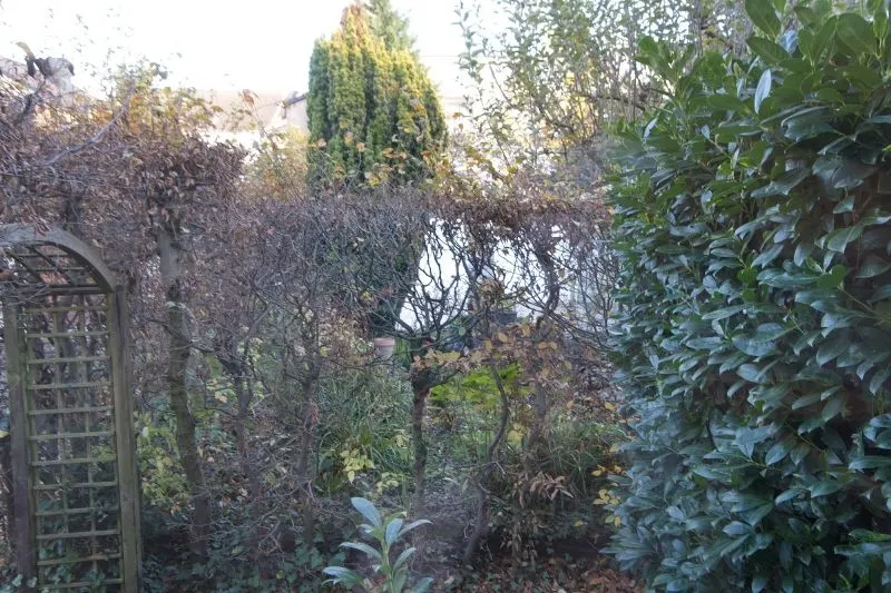 Gartenblick