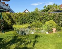 Teich im Garten 