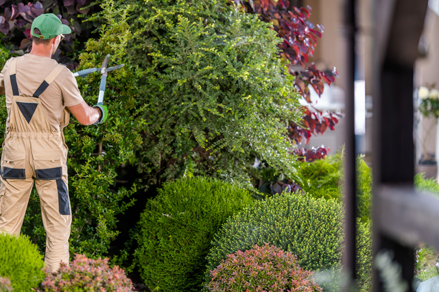Wichtige Entscheidung zur Betriebskostenabrechnung