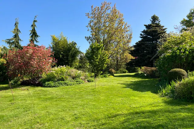 Gartenausschnitt IV