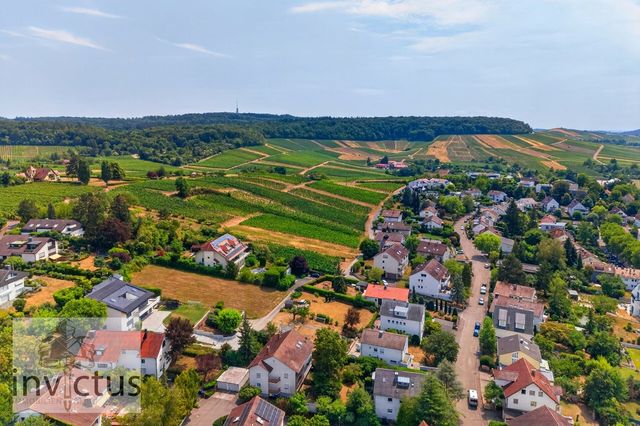Blick in die Weinberge