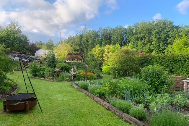 Blick in den Garten