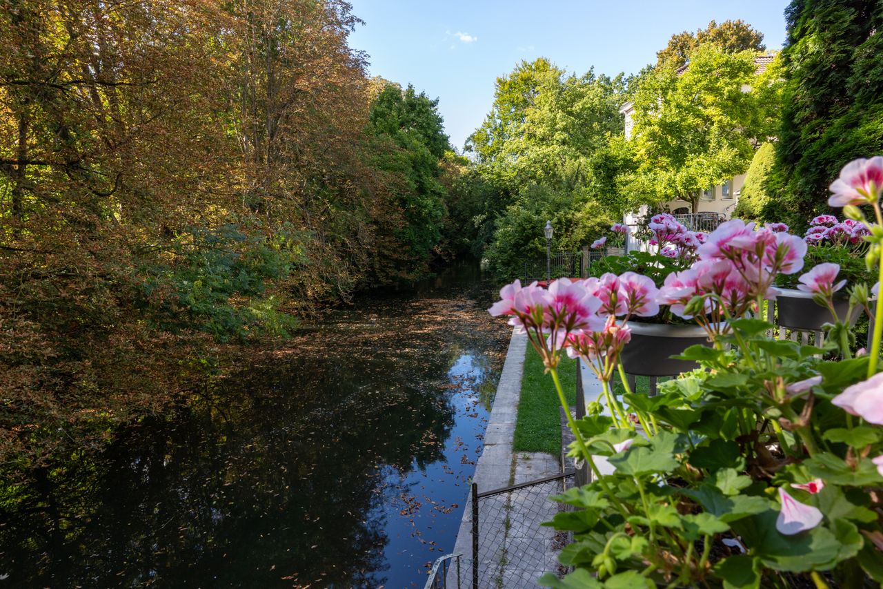 Ausblick auf die Oker