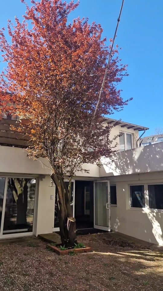 Ansicht Straßenseite