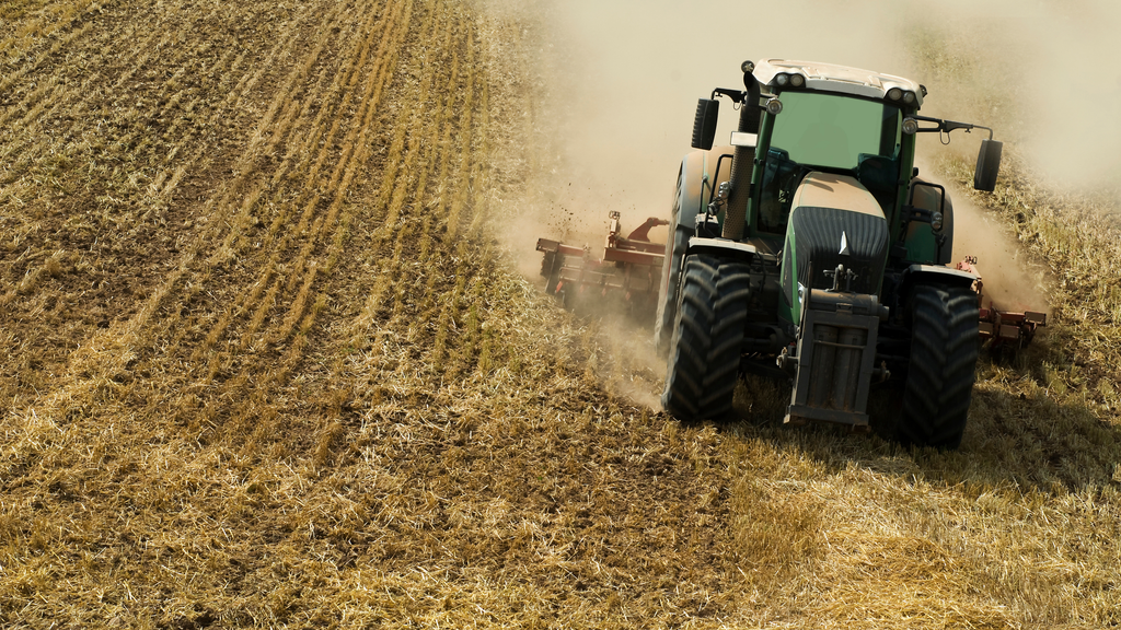 Aussaat nach der Ernte: Wie Zwischenfrüchte erfolgreich etabliert werden