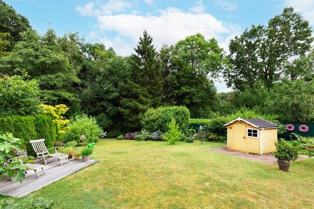 Blick in den Garten