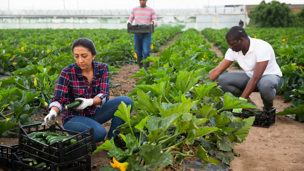 EU-Agrarförderung 2025: Was die neue Fruchtwechselregel für Landwirte bedeutet
