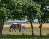 Impressionen
