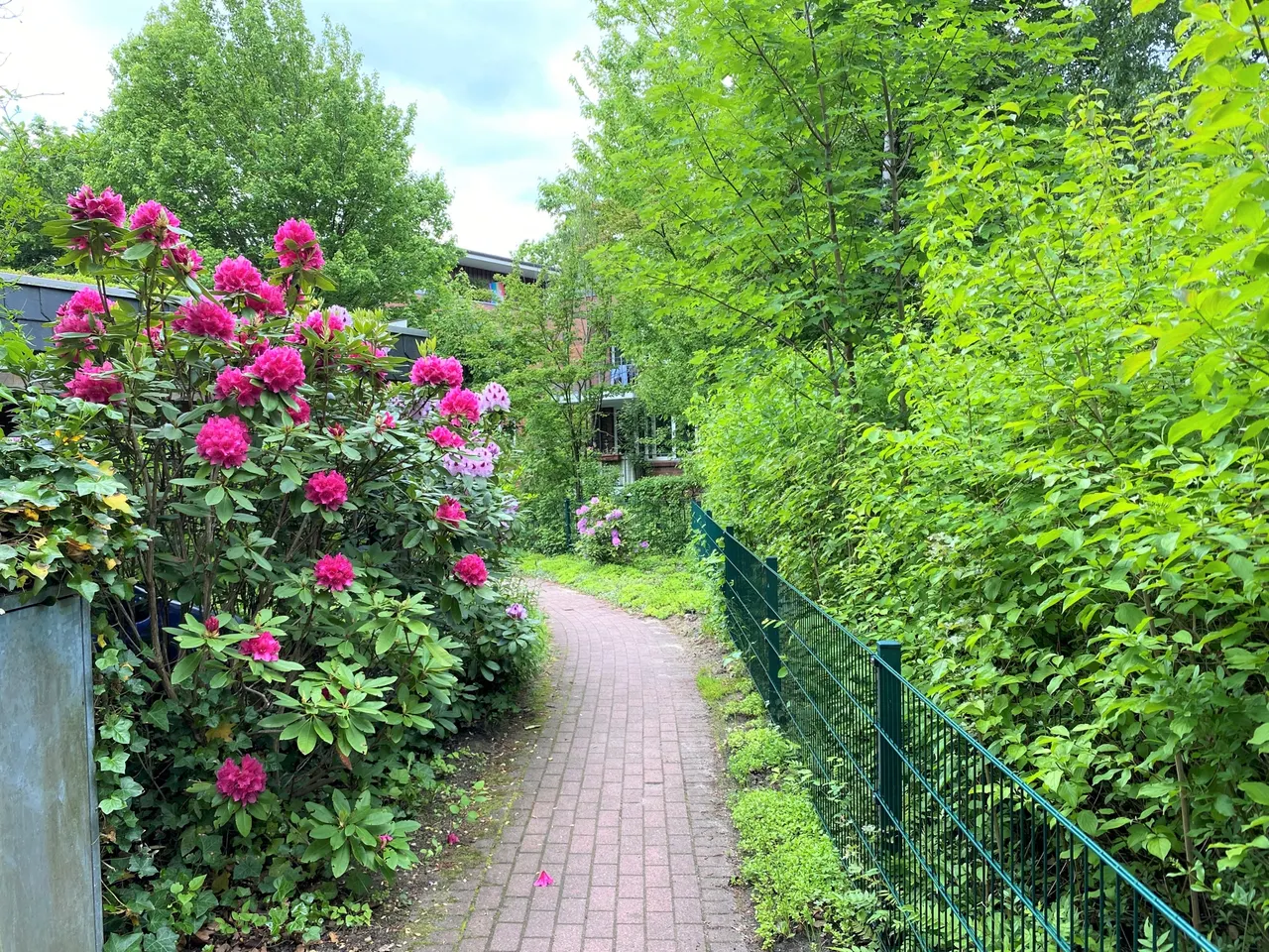Weg zum Haus