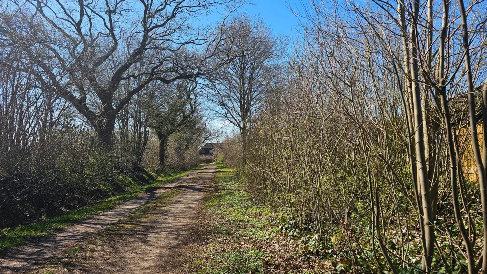 Weg hinter dem Grundstück, Bild 1