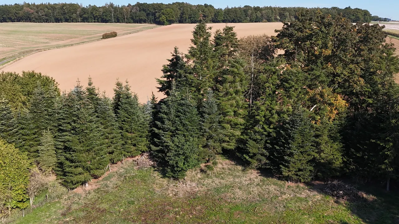 DJI_20260930153132_0027_D