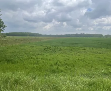 3 bis 50 ha Ackerland zu verkaufen