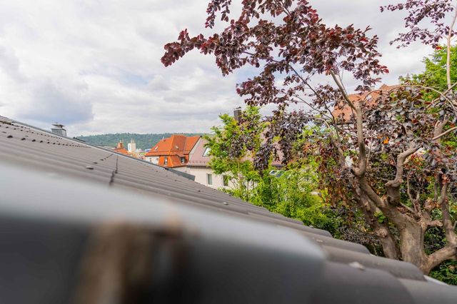 Unverbauter Blick ins Grüne 