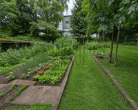 Nutzgarten (mit KI generiert)