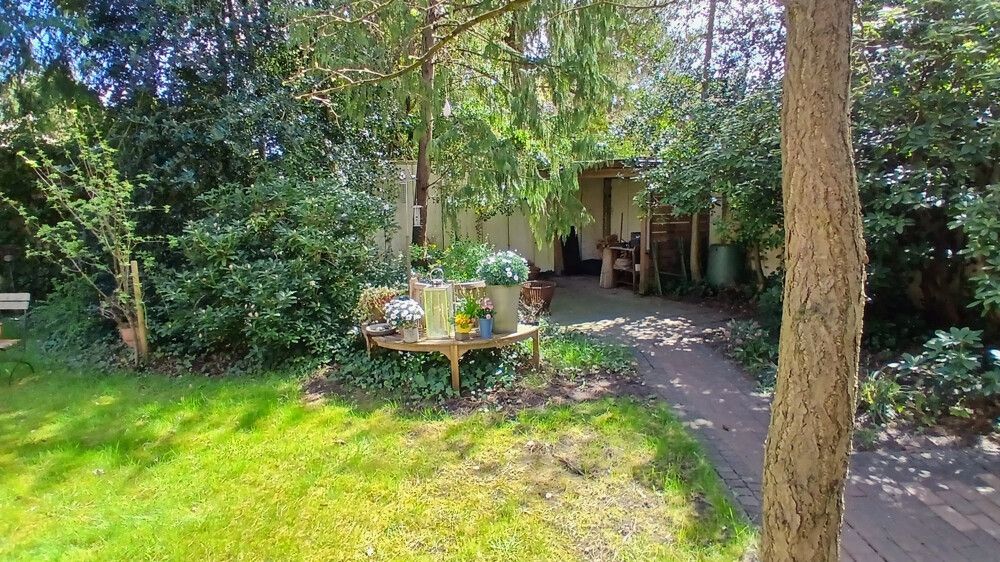 Garten, Bild 1 vom Hinterhaus