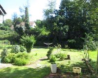 Blick in den Garten