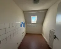 DG