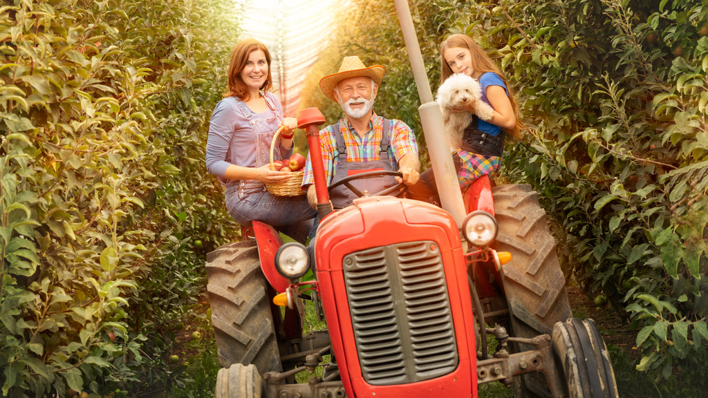 Automatisierung in der Landwirtschaft: Wie Maschinen den Alltag von Landwirten erleichtern