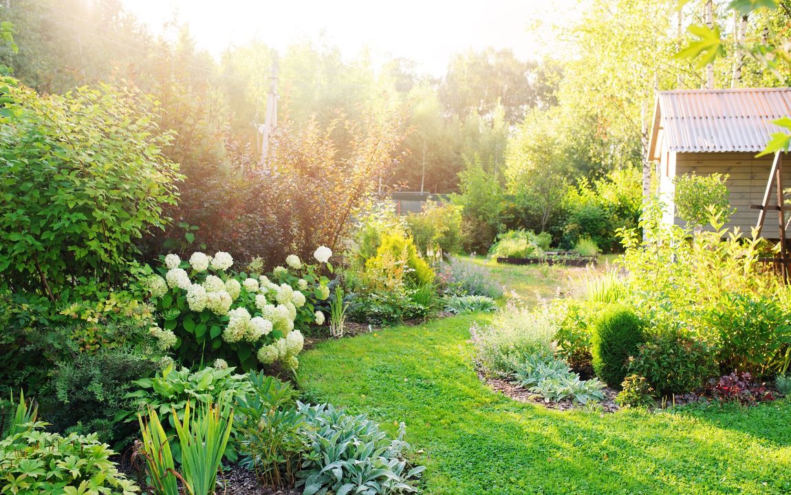 Fit für Hitze und Dürre: 10 Tipps für den klimaresistenten Garten