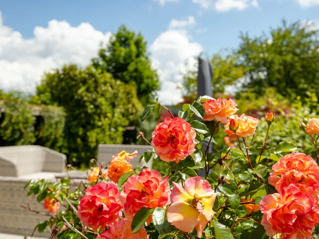Gartenimpressionen