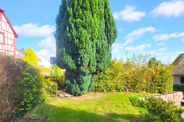 Garten vor dem Haus