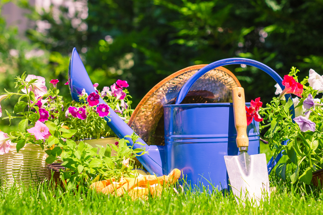 Weniger Gießen, mehr Nachhaltigkeit: Tipps für den Frühling