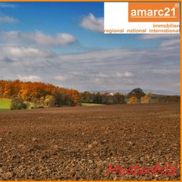 3,0 ha Ackerland zu verkaufen

– Landkreis Havelland –