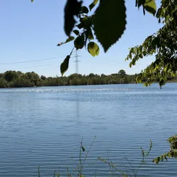 See Grundstück mit 300 m Ufer für Naturliebhaber