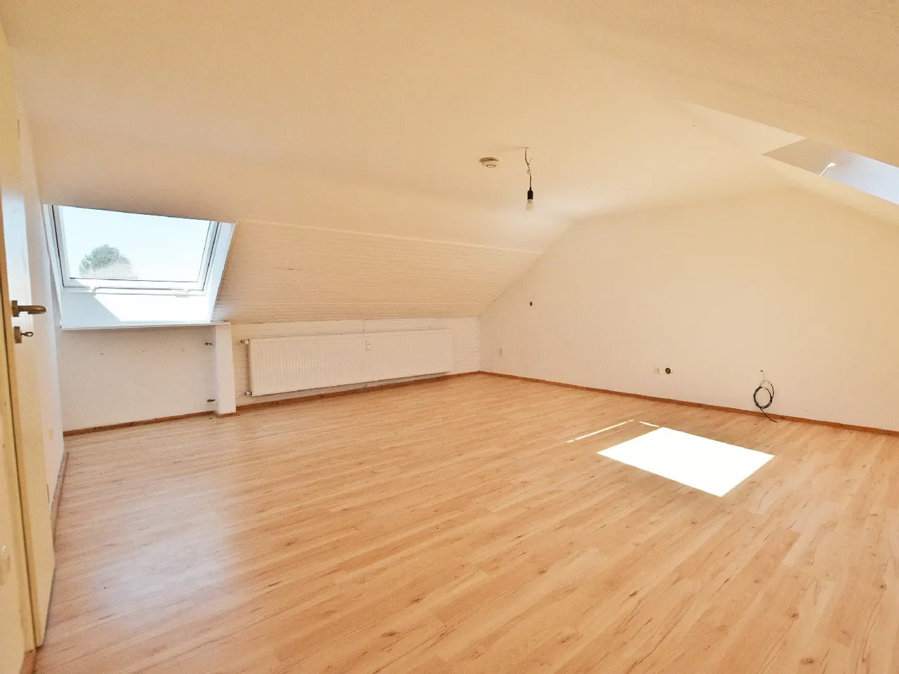 Zimmer DG