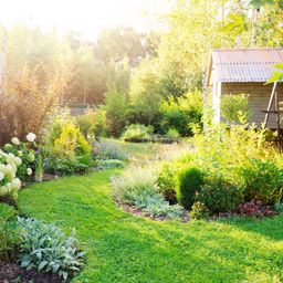Fit für Hitze und Dürre: 10 Tipps für den klimaresistenten Garten
