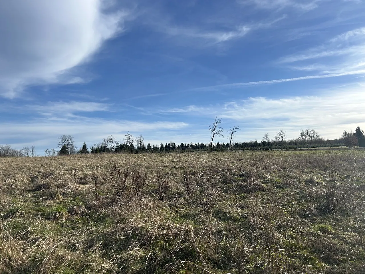 Unverbaubare Naturlage