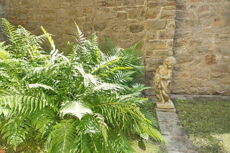 Gartendetail