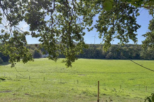 Weitblick über die umliegenden Wiesen