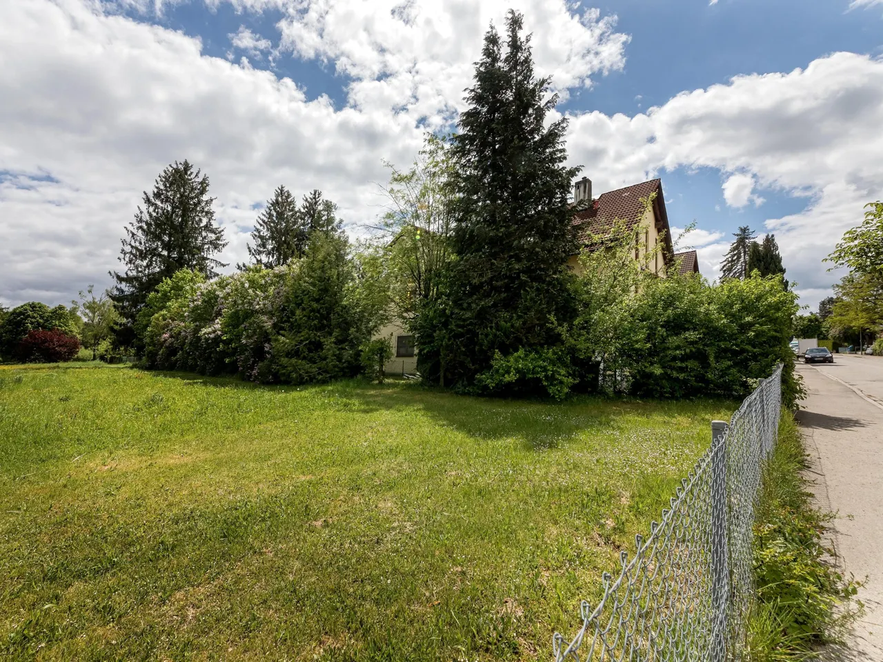 Wiese neben dem Haus