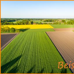 17 ha Ackerland zu verkaufen