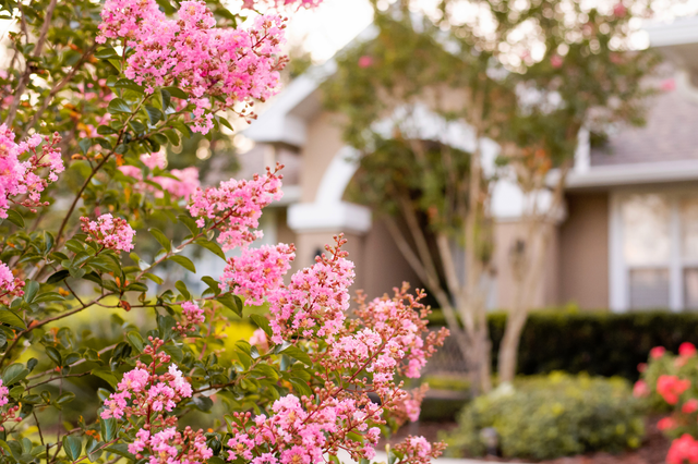 Wohntrends 2025: Wie sich die Ansprüche an Immobilien verändern