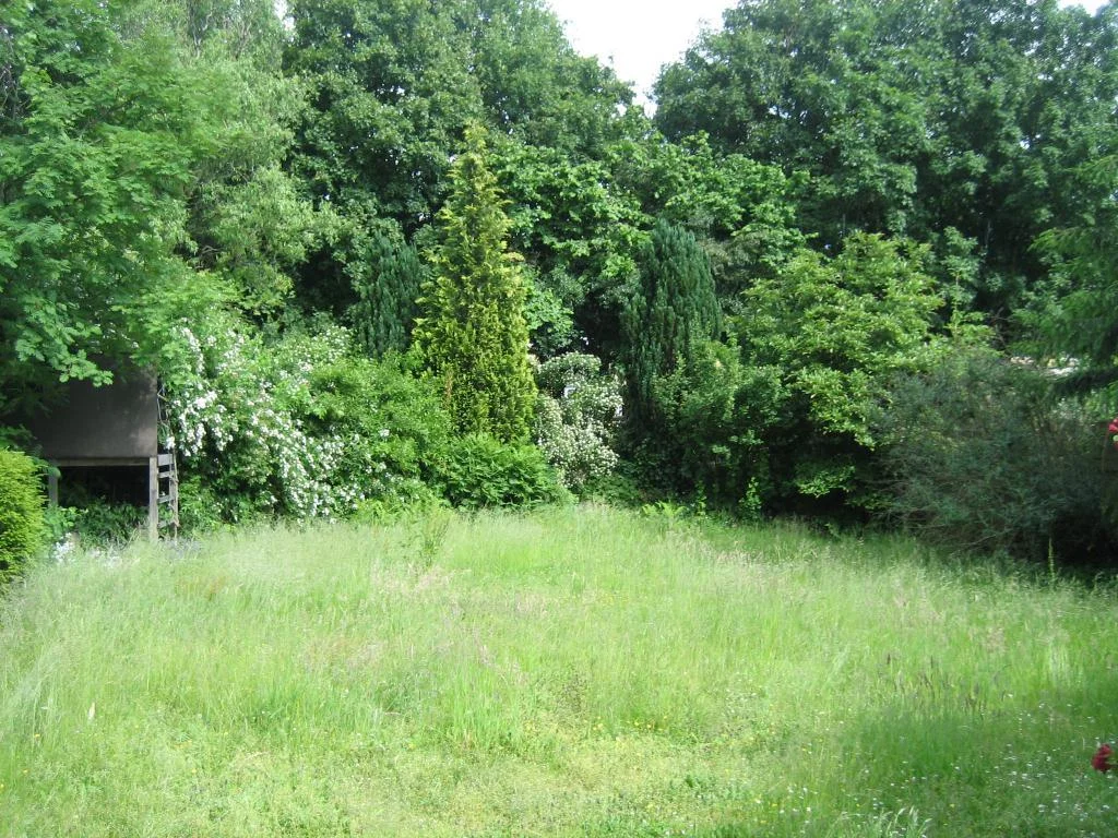 Garten 1