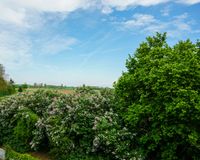 ... mit toller Aussicht