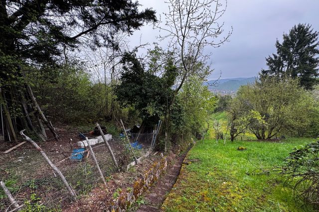 Garten mit Aussicht zur Grabkapelle auf dem Würrtemberg