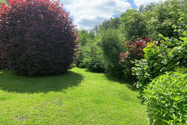Traumgarten