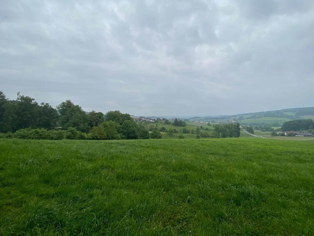 Natur Pur